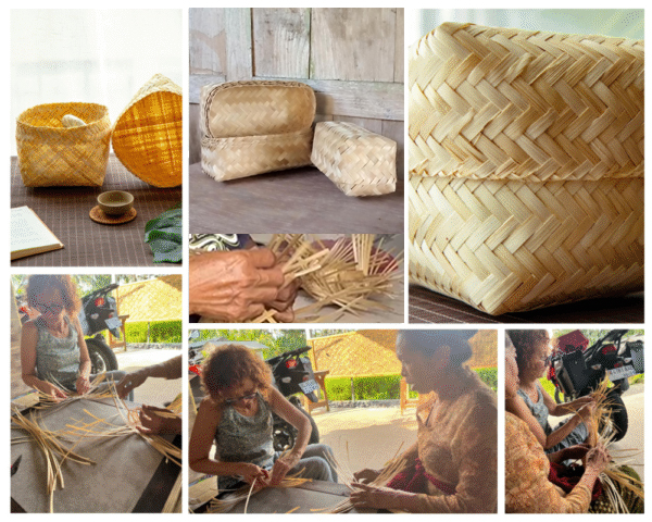 bamboo2